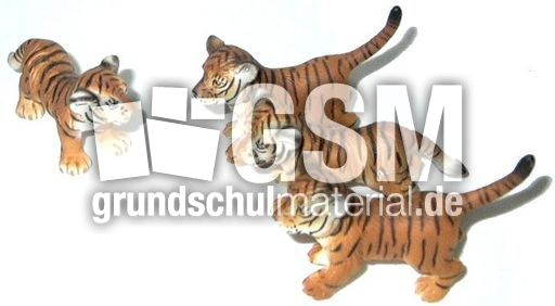 Tiger-1+3.jpg
